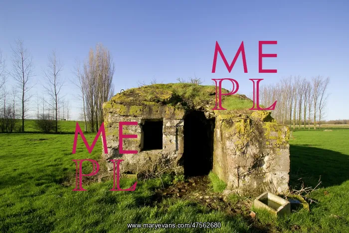  : Fields of Battle - Messines