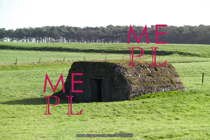 : Fields of Battle - Messines : Fields of Battle - Messines