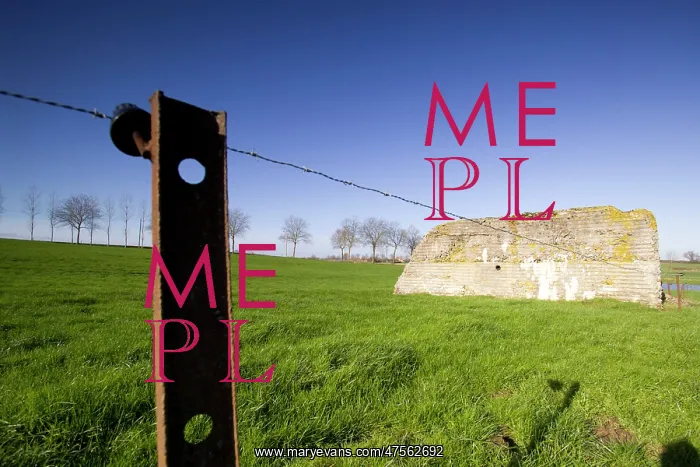 : Fields of Battle - Messines : Fields of Battle - Messines