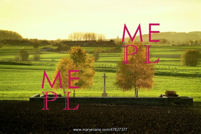 : Fields of Battle - Messines : Fields of Battle - Messines