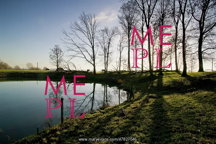 : Fields of Battle - Messines : Fields of Battle - Messines