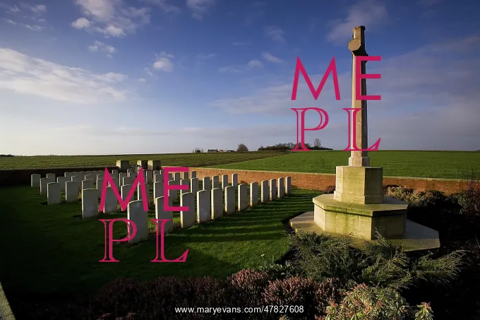 : Fields of Battle - Messines : Fields of Battle - Messines