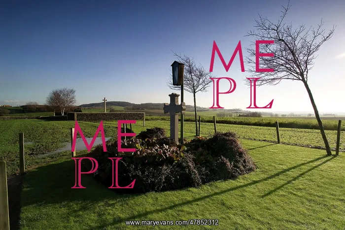 : Fields of Battle - Messines : Fields of Battle - Messines