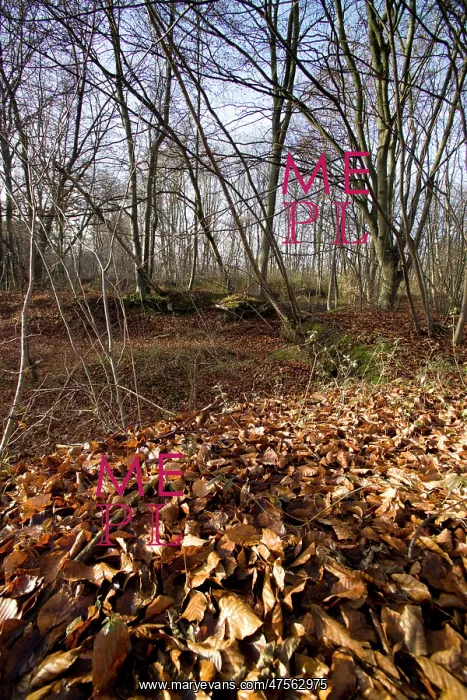  : Fields of Battle - Oise