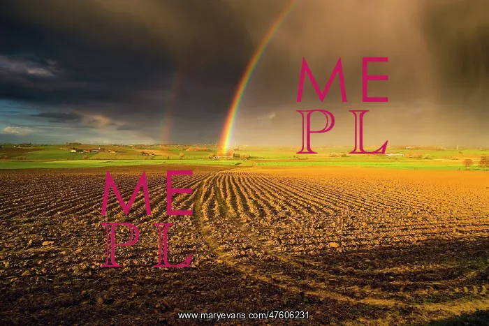 : Fields of Battle - Rainbow over Messines Ridge : Fields of Battle - Rainbow over Messines Ridge