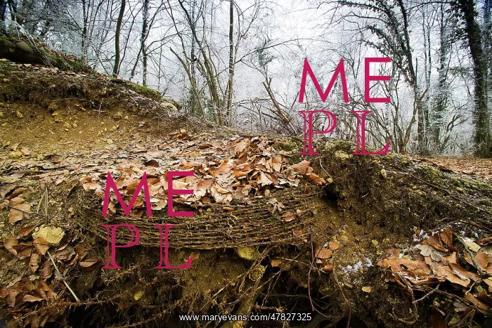 : Fields of Battle - St.Mihiel : Fields of Battle - St.Mihiel