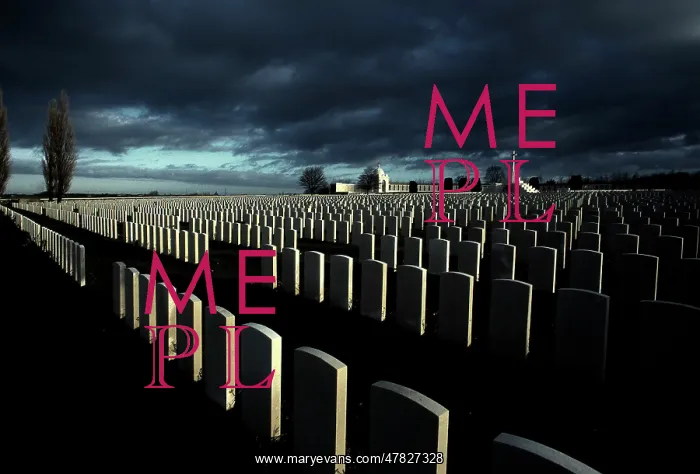 : Fields of Battle - Ypres : Fields of Battle - Ypres