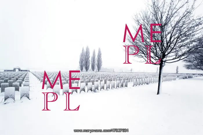 : Fields of Battle - Ypres : Fields of Battle - Ypres