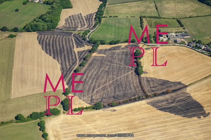 : Fields scorched by fire, Scholes, Rotherham : Fields scorched by fire, Scholes, Rotherham