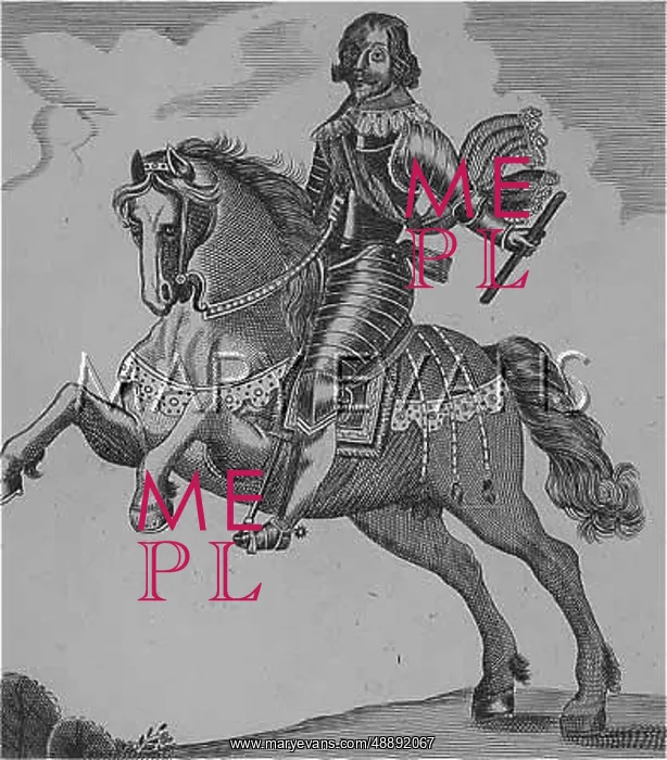 : FIENNES, SAYE & SELE : FIENNES, SAYE & SELE