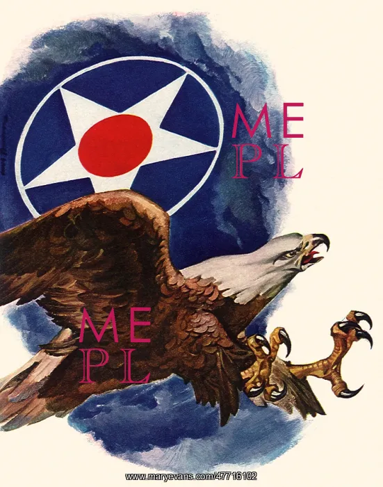 : Fierce Eagle : Fierce Eagle