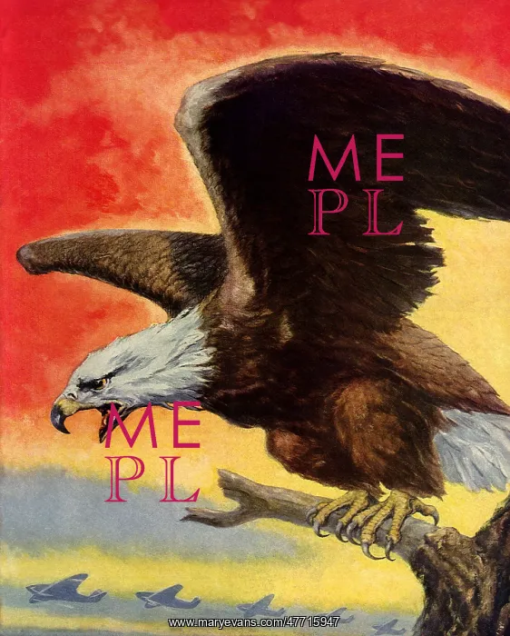 : Fierce Eagle and Planes : Fierce Eagle and Planes