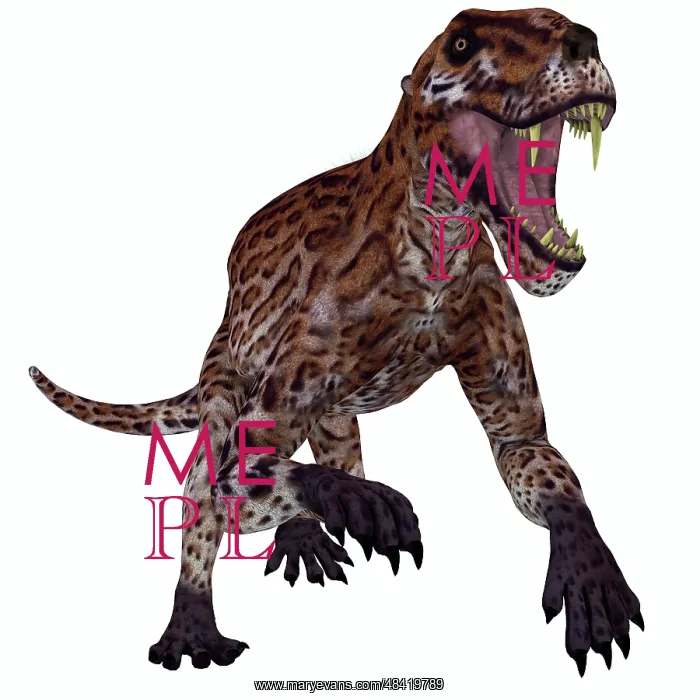 : A fierce Lycaenops roaring : A fierce Lycaenops roaring
