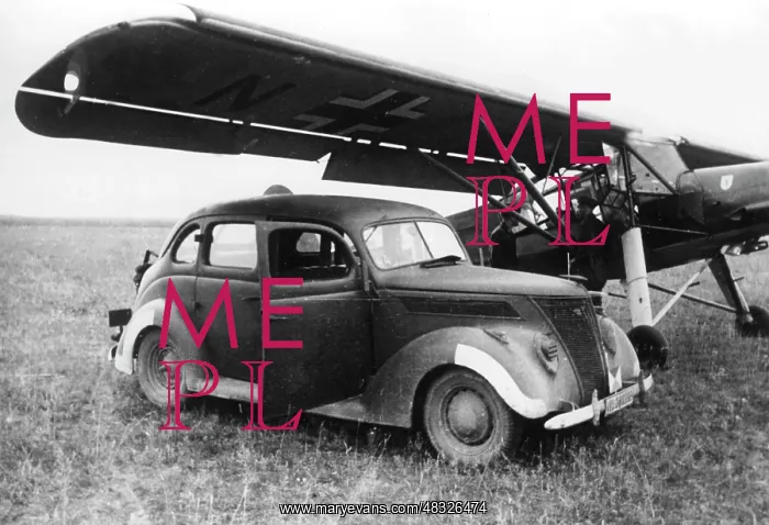 : Fieseler Fi 156 Fieseler Storch on the Eastern Front, 1941 : Fieseler Fi 156 Fieseler Storch on the Eastern Front, 1941