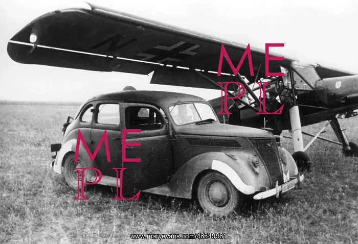 : Fieseler Fi 156 Fieseler Storch on the Eastern Front, 1941 : Fieseler Fi 156 Fieseler Storch on the Eastern Front, 1941