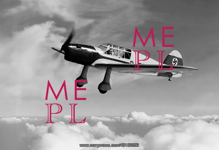 : Fieseler Fi 99, 1938 : Fieseler Fi 99, 1938