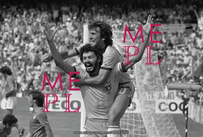 : FIFA World Cup : FIFA World Cup