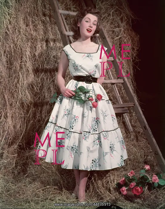: FIFTIES SUMMER FROCK : FIFTIES SUMMER FROCK