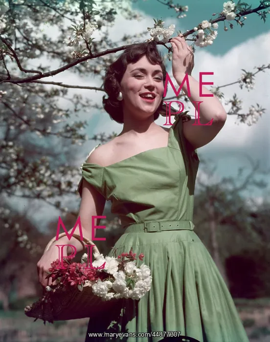 : FIFTIES SUMMER FROCK : FIFTIES SUMMER FROCK