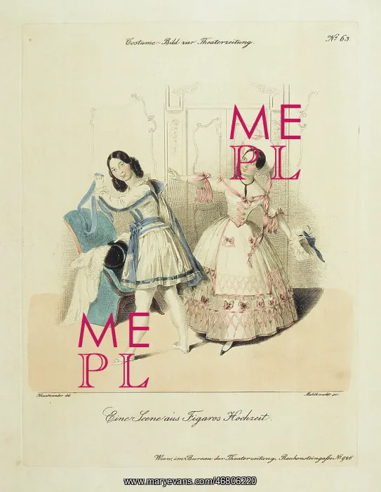 : Figaro's wedding : Figaro's wedding