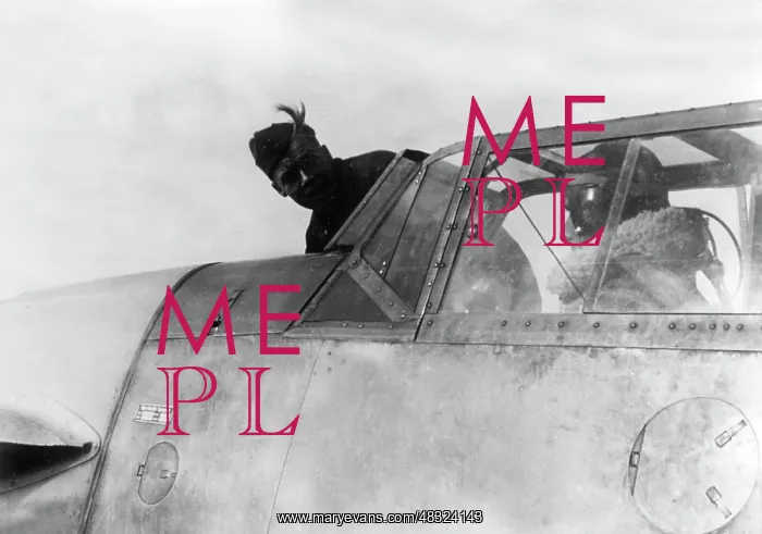 : Fighter plane Messerschmitt Me 109, 1941 : Fighter plane Messerschmitt Me 109, 1941