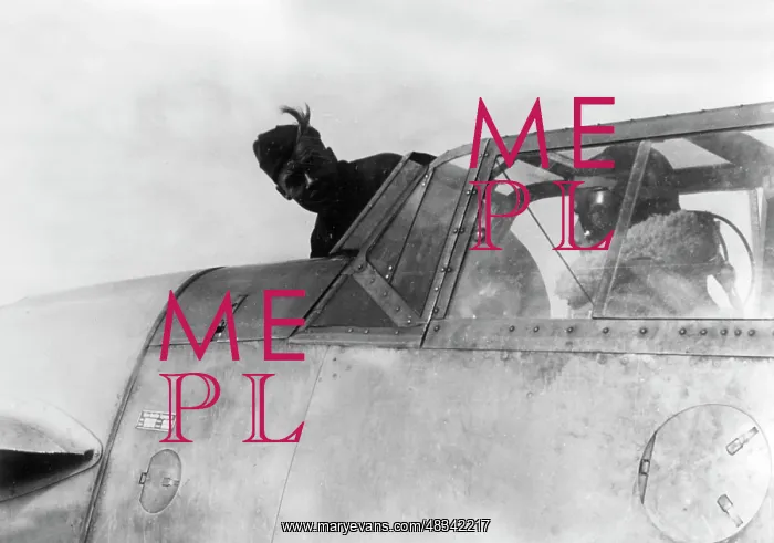: Fighter plane Messerschmitt Me 109, 1941 : Fighter plane Messerschmitt Me 109, 1941