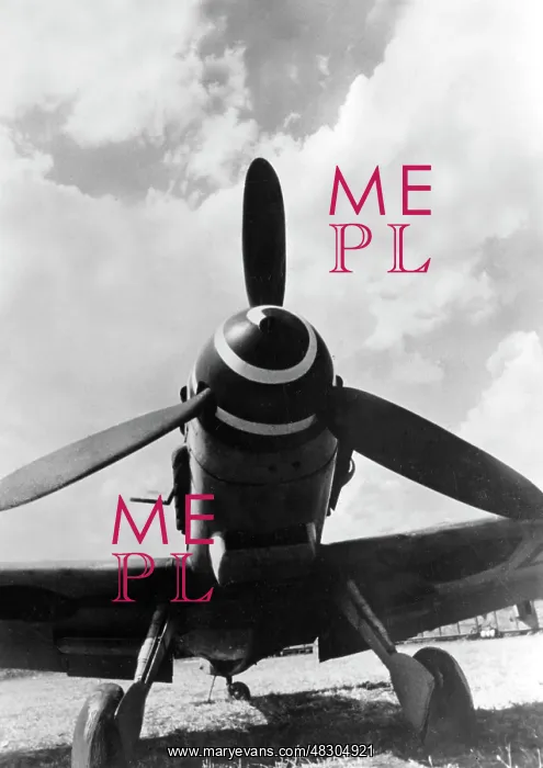 : Fighter plane Messerschmitt Me 109, 1944 : Fighter plane Messerschmitt Me 109, 1944