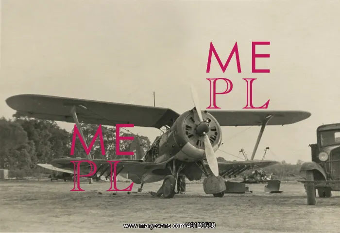  : Fighter plane Polikarpow I-153