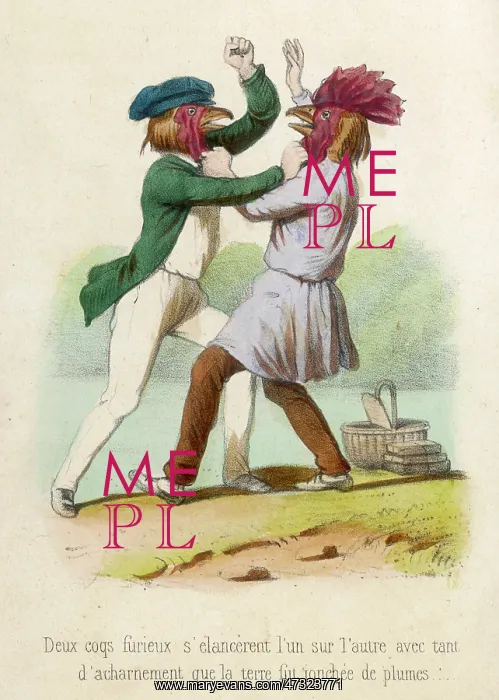  : FIGHTING COCKS