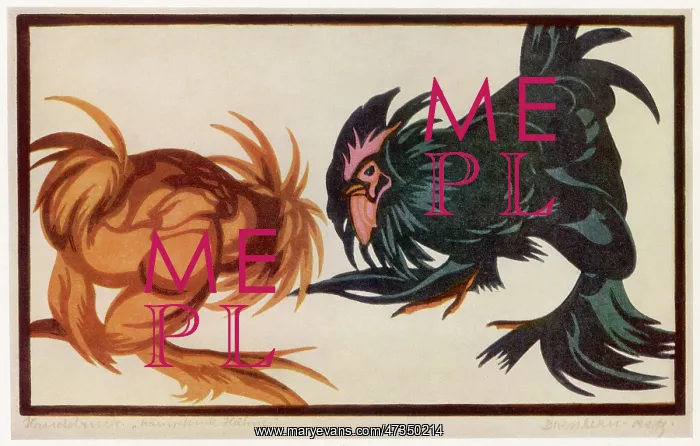 : FIGHTING COCKS