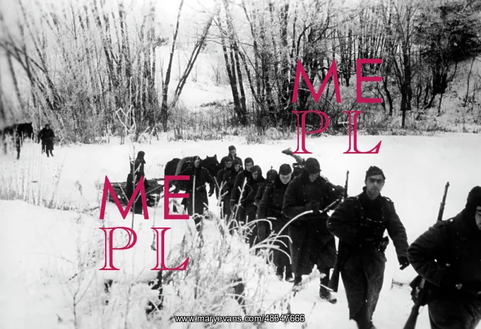 : Fighting on the Eastern Front in Winter, 1941 : Fighting on the Eastern Front in Winter, 1941