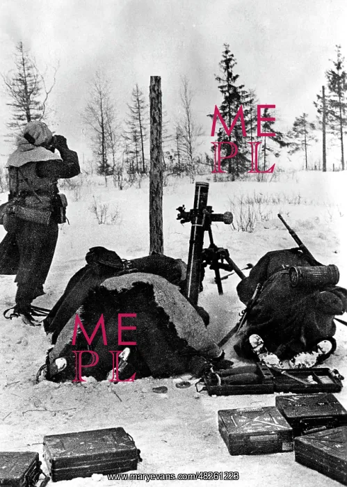 : Fighting on the Eastern Front in Winter, 1942 : Fighting on the Eastern Front in Winter, 1942