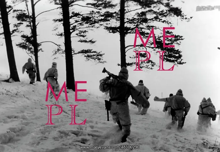 : Fighting on the Eastern Front in Winter, 1942 : Fighting on the Eastern Front in Winter, 1942
