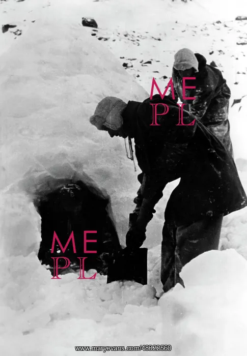 : Fighting on the Eastern Front in Winter, 1942 : Fighting on the Eastern Front in Winter, 1942