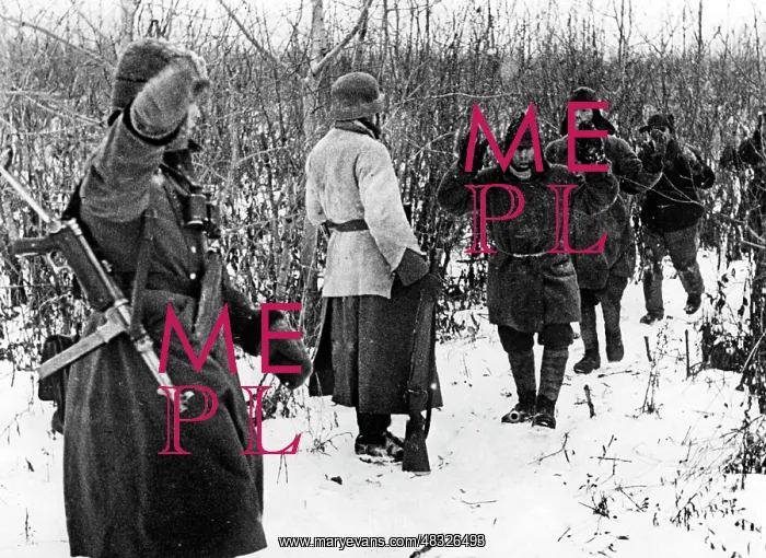 : Fighting on the Eastern Front in Winter, 1942 : Fighting on the Eastern Front in Winter, 1942