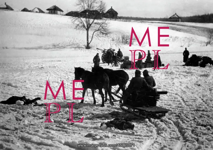 : Fighting on the Eastern Front in Winter, 1942 : Fighting on the Eastern Front in Winter, 1942