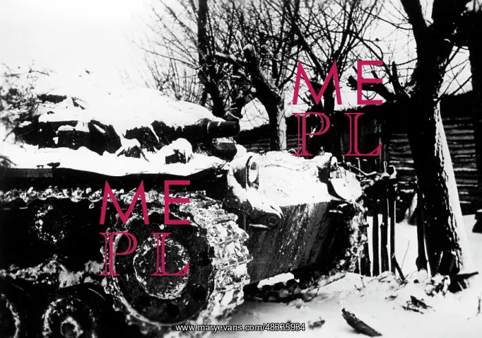 : Fighting on the Eastern Front in Winter, 1942 : Fighting on the Eastern Front in Winter, 1942