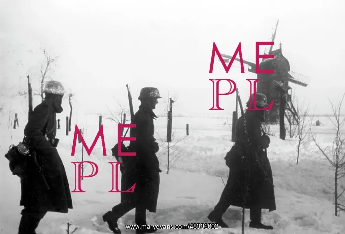: Fighting on the Eastern Front in Winter, 1942 : Fighting on the Eastern Front in Winter, 1942