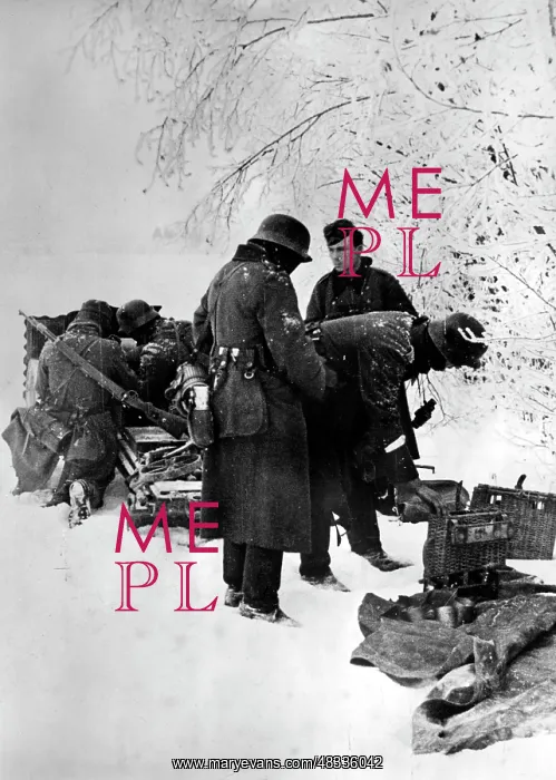 : Fighting on the Eastern Front in Winter, 1942 : Fighting on the Eastern Front in Winter, 1942