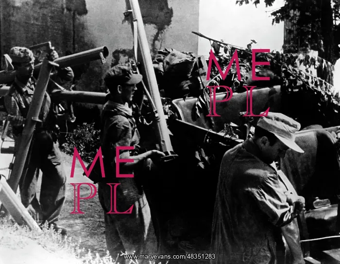 : Fighting in Italy, 1943 : Fighting in Italy, 1943