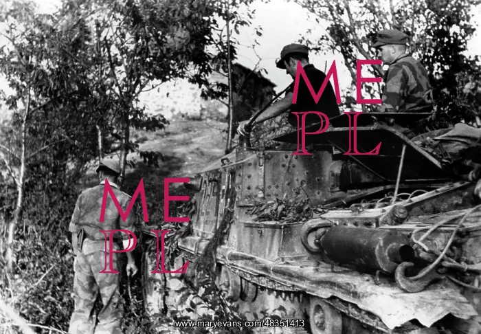 : Fighting in Italy, 1944 : Fighting in Italy, 1944