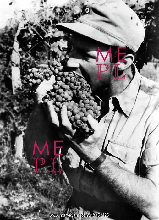 : Fighting in Italy, 1944 : Fighting in Italy, 1944