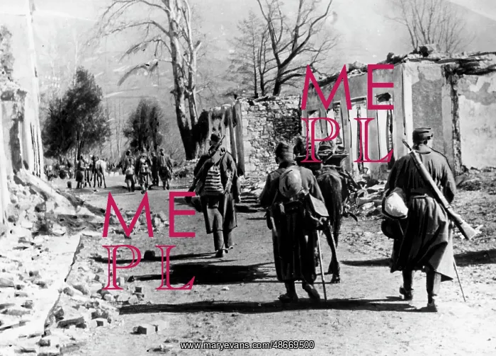 : Fighting partisans in occupied Yugoslavia, 1943 : Fighting partisans in occupied Yugoslavia, 1943
