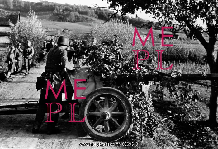 : Fighting partisans in occupied Yugoslavia, 1943 : Fighting partisans in occupied Yugoslavia, 1943