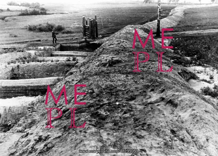 : Fighting along the Stalin Line, 1941 : Fighting along the Stalin Line, 1941