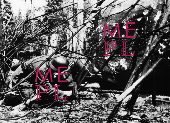 : Fighting along the Stalin Line, 1941 : Fighting along the Stalin Line, 1941