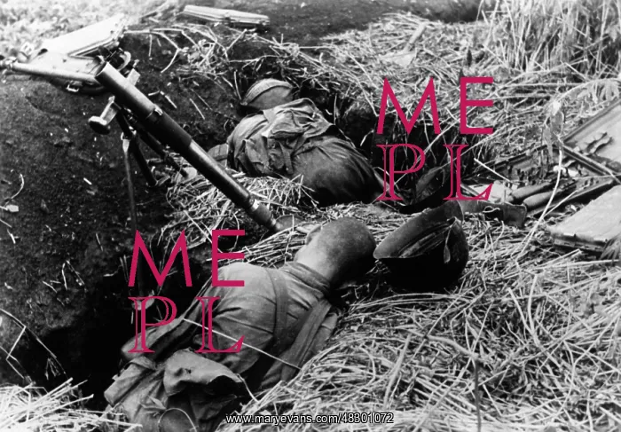 : Fighting along the Stalin Line, 1941 : Fighting along the Stalin Line, 1941