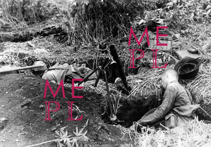 : Fighting along the Stalin Line, 1941 : Fighting along the Stalin Line, 1941