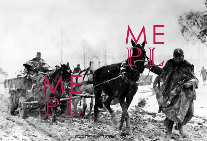 : Fighting in winter, 1941 : Fighting in winter, 1941