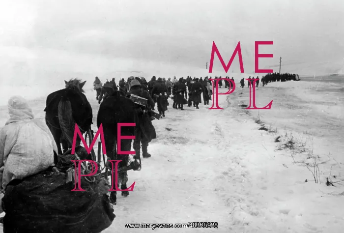 : Fighting in winter, 1942 : Fighting in winter, 1942